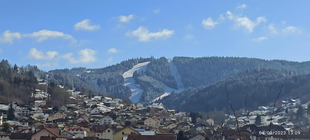 Charmant Chalet, Spacieux, Proche Du Lac, Vue Sur La Montagne ジェラールメ エクステリア 写真