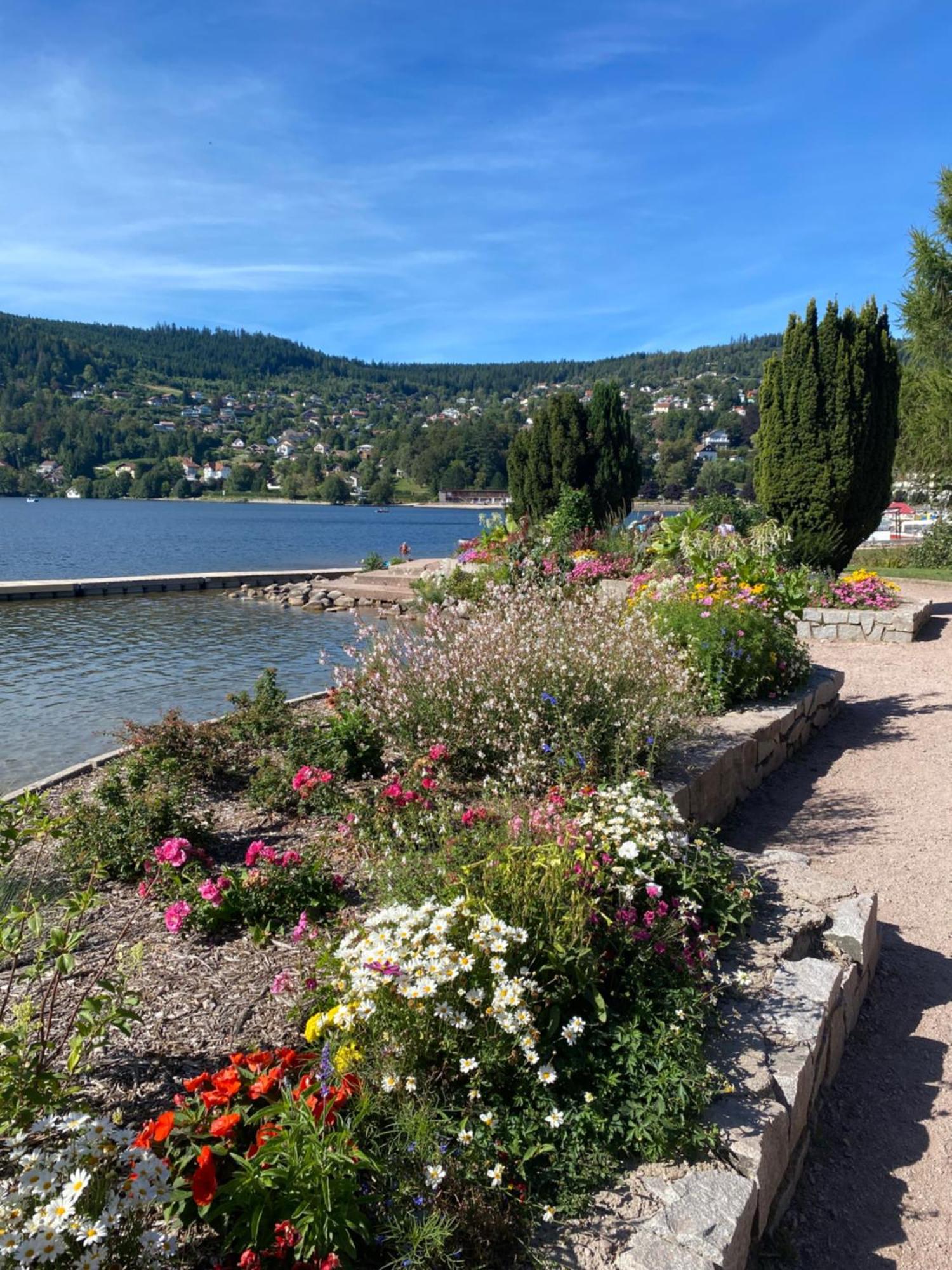 Charmant Chalet, Spacieux, Proche Du Lac, Vue Sur La Montagne ジェラールメ エクステリア 写真