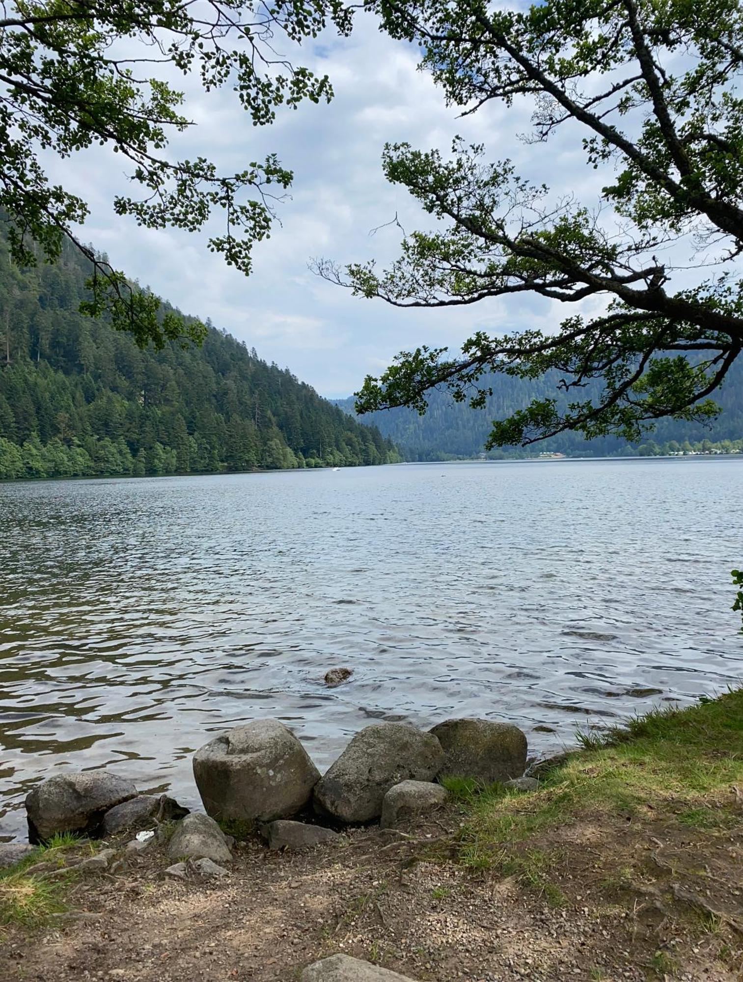 Charmant Chalet, Spacieux, Proche Du Lac, Vue Sur La Montagne ジェラールメ エクステリア 写真